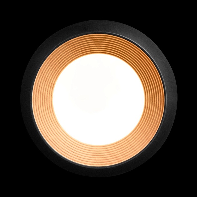 Потолочный светильник Loft IT Folk 10255/350 Black Фото № 5