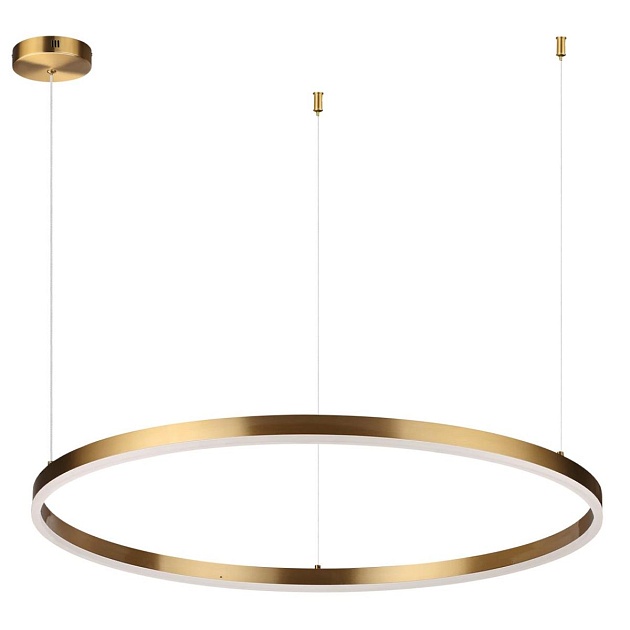 Подвесной светодиодный светильник Lumion Ledio Echo 6531/67L Фото № 1