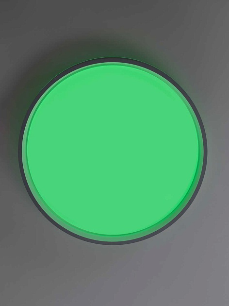 Светильник потолочный Citilux ENZO CL753453G Фото № 11