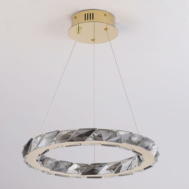 Подвесной светодиодный светильник Lussole Citrus LSP-7156 Фото № 6