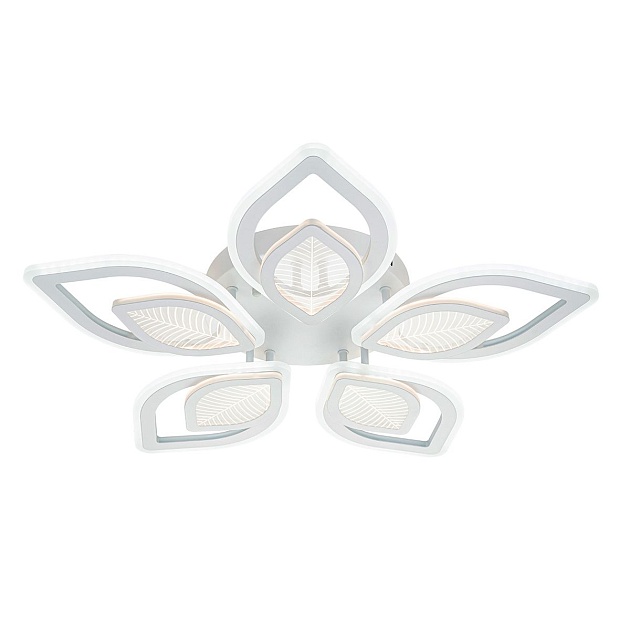 Потолочная светодиодная люстра Escada Anise 10288/10LED Фото № 5