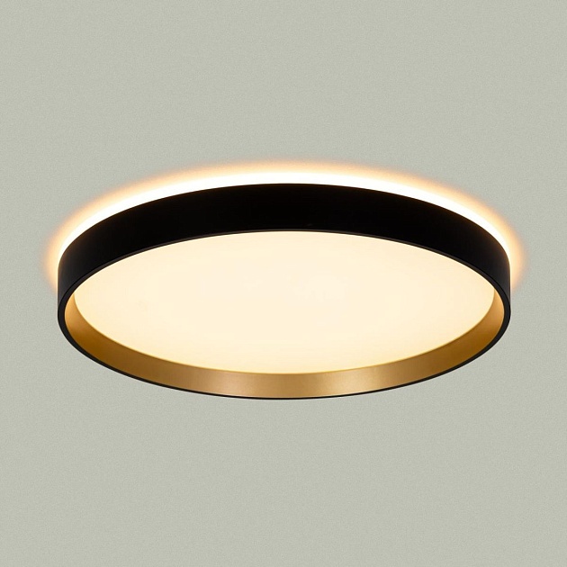 Светильник с пультом Citilux ETALON CL750321R Фото № 15