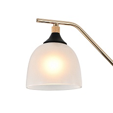 Подвесная люстра Escada Actinidia 2123/3P 2