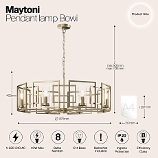 Подвесная люстра Maytoni Bowi H009PL-08G 2