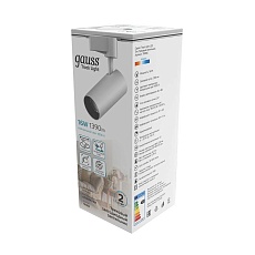 Трековый светодиодный светильник Gauss Track Light Led TR066 5