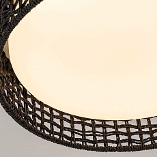 Потолочный светильник F-Promo 4750-4C 2