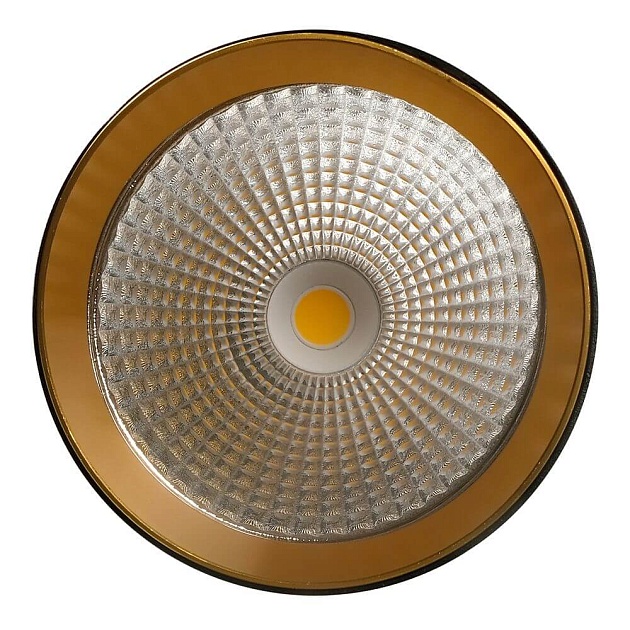 Трековый светодиодный светильник Jazzway PTR 2310 5031487 Фото № 8