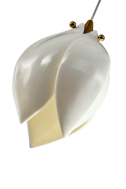 Подвесной светильник Zortes DALIN ZRS.90609.01 изображение 4 Подвесной светильник Zortes DALIN ZRS.90609.01 Фото № 4