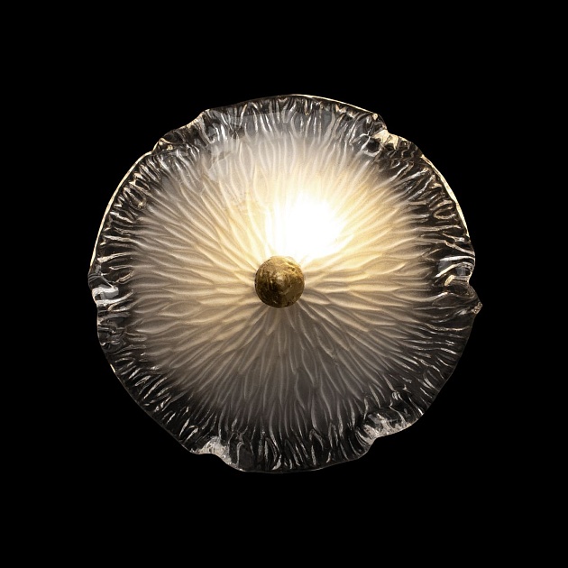 Настенный светильник Loft IT Bloom 10352W/B AB Фото № 3