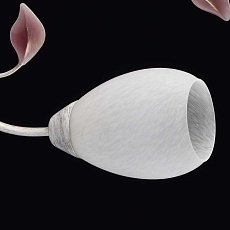 Потолочная люстра MW-Light Восторг 242016508 4