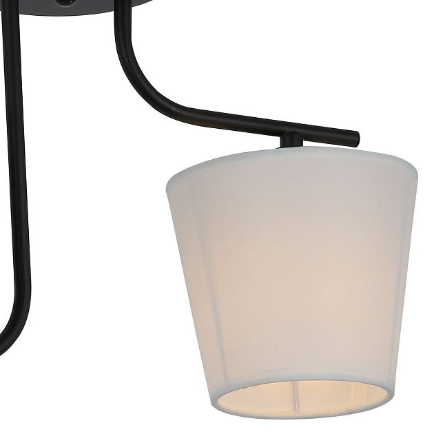 Потолочная люстра Illumico IL8134-2COU-79 BK изображение 2 Потолочная люстра Illumico IL8134-2COU-79 BK Фото № 2