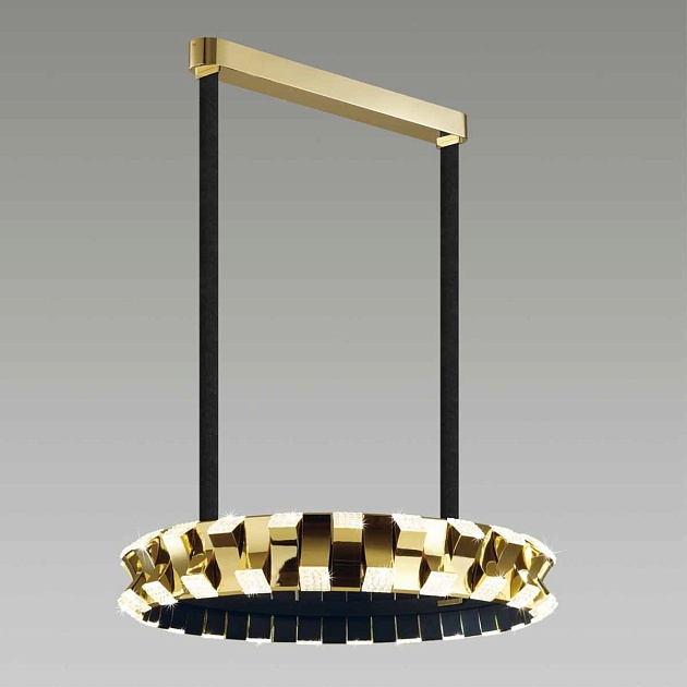 Подвесной светодиодный светильник Odeon Light Asturo 4993/80L Фото № 2