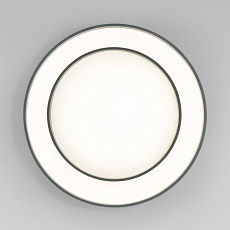 Потолочный светодиодный светильник Eurosvet Force 90330/2 серый 2