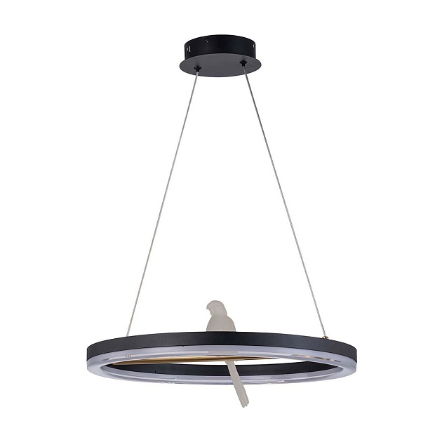 Подвесной светодиодный светильник F-Promo Bardy 4654-1P Фото № 1