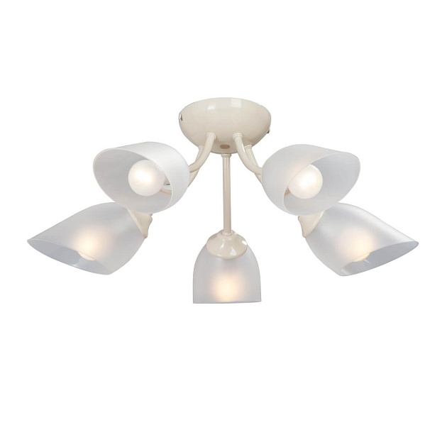 Потолочная люстра Vitaluce V3405/5PL изображение 1 Потолочная люстра Vitaluce V3405/5PL Фото № 1