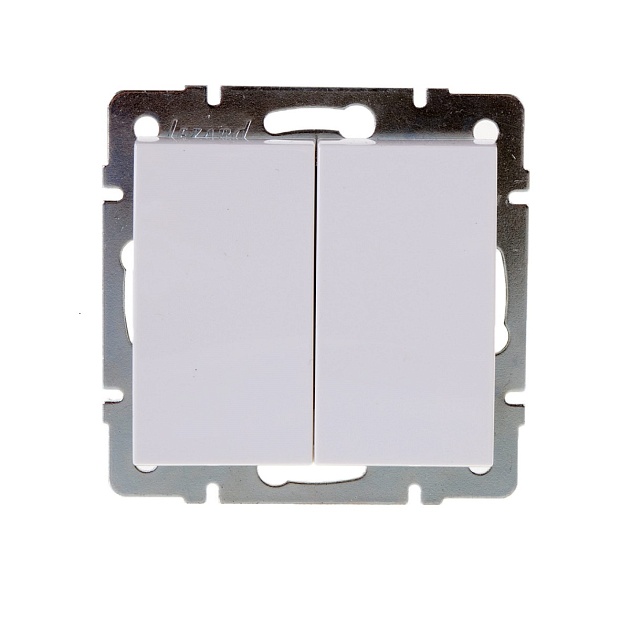 Выключатель двойной Lezard Rain белый 703-0288-101 изображение 1 Выключатель двойной Lezard Rain белый 703-0288-101 Фото № 1