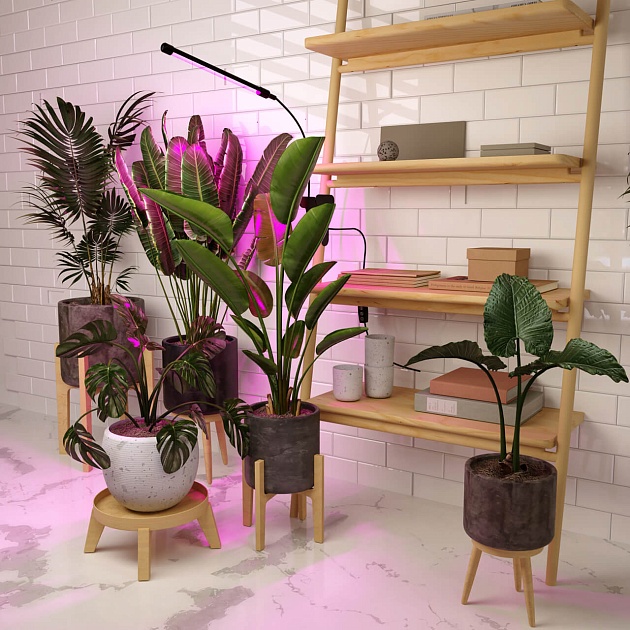 Светодиодный светильник для растений Elektrostandard FT-004 a052889 Фото № 9