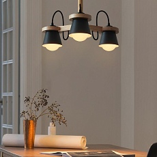 Подвесная люстра Imperium Loft Natura 151721-26 2