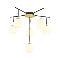 Потолочная люстра Favourite Paramount 3047-6P