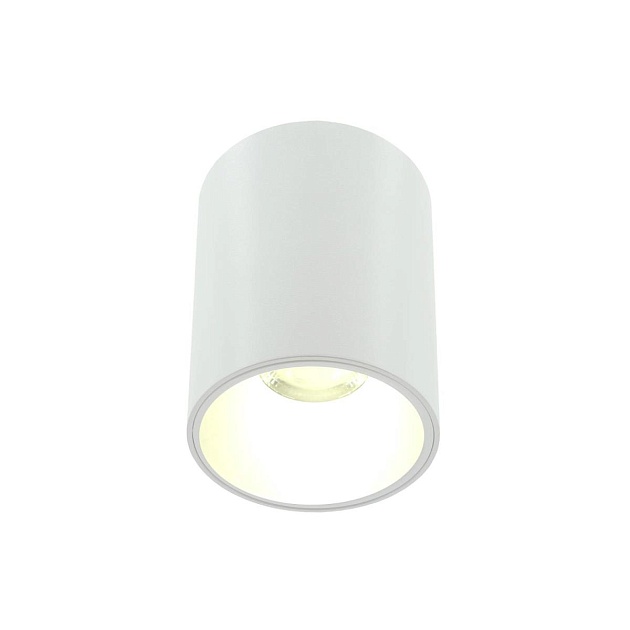 Накладной светильник Lightera Shamrock LE200CL-1W Фото № 2