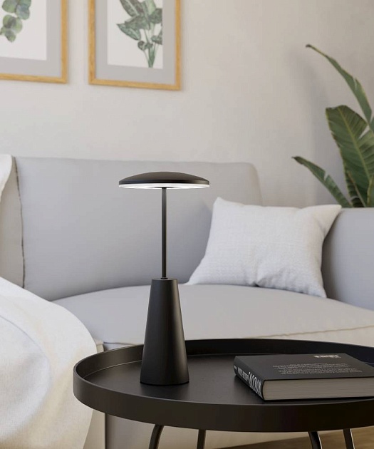 Уличный светодиодный светильник Eglo Piccola 900925 Фото № 8