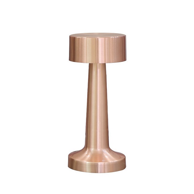 Настольная лампа Aployt Perrayn APL.671.04.01 Фото № 1