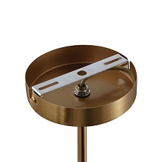 Люстра Lumion GLORIYA 8272/5C 2