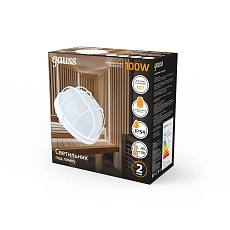 Настенно-потолочный светильник Gauss 926602111 3