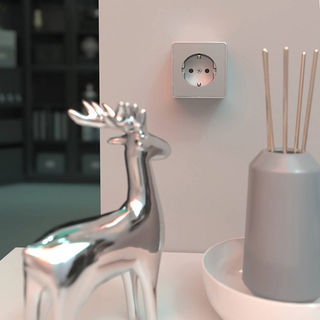 Розетка с заземлением Werkel Gallant серебряный W5071006 4690389167157 Фото № 3