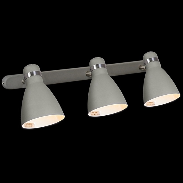 Спот Reluce 05060-0.8-03C GY изображение 1 Спот Reluce 05060-0.8-03C GY Фото № 1