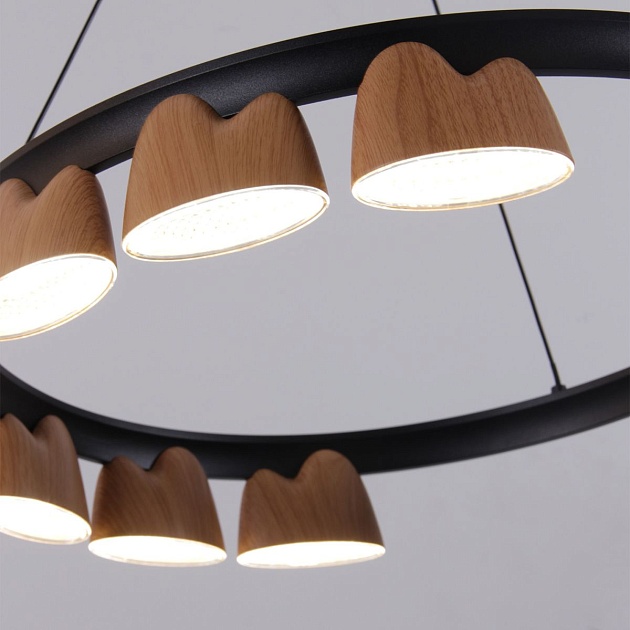 Подвесная светодиодная люстра Favourite Interline 4266-9P изображение 3 Подвесная светодиодная люстра Favourite Interline 4266-9P Фото № 3