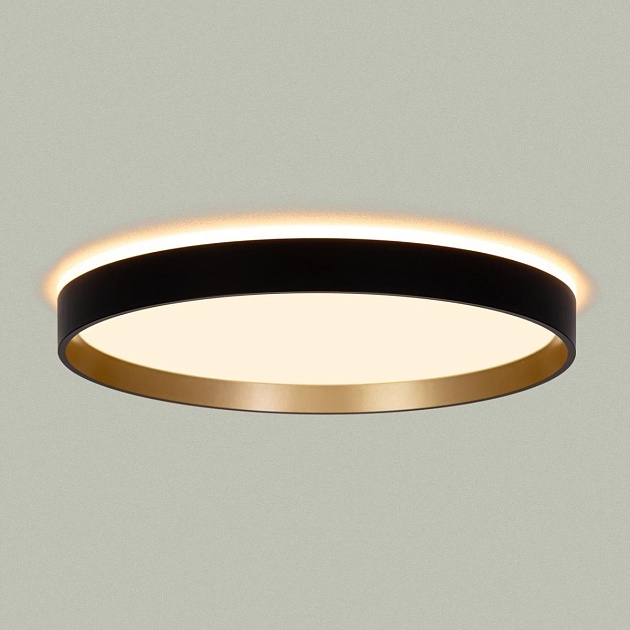 Светильник с пультом Citilux ETALON CL750321R Фото № 14