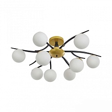 Потолочная люстра Arte Milano Neapolis73408 273408/6 BK/GD 4