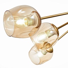 Потолочная люстра Evoluce Pallo SLE155412-10 1