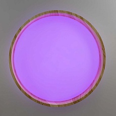 Потолочный светильник Citilux CL753352G 5