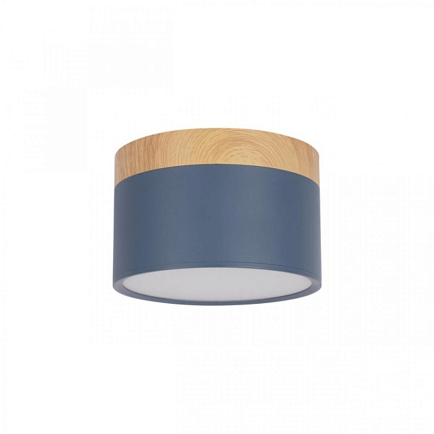 Накладной светодиодный светильник Loft IT Grape 10162 Blue Фото № 1