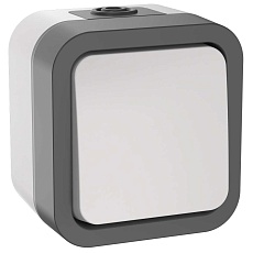 TORS Выключатель кнопочный 10А IP55 TS210 серо-белый IEK TS-V14-0-10-55-K41