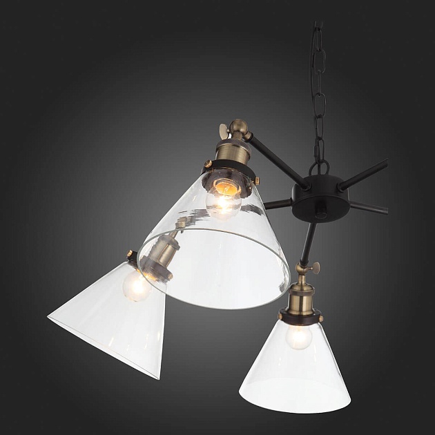 Подвесная люстра ST Luce Evoluto SL237.413.05 Фото № 9
