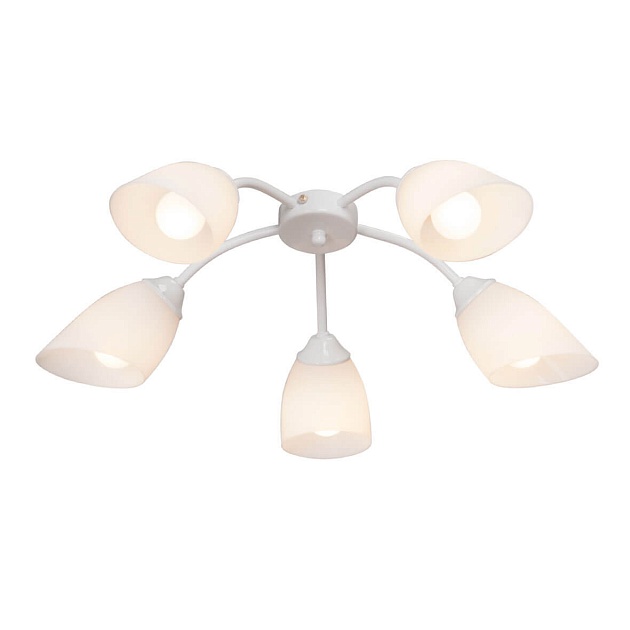 Потолочная люстра Vitaluce V3194/5PL изображение 1 Потолочная люстра Vitaluce V3194/5PL Фото № 1