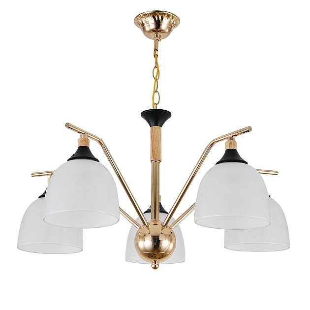 Подвесная люстра Escada Actinidia 2123/5P Фото № 1