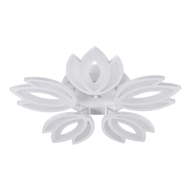 Потолочная светодиодная люстра Natali Kovaltseva Led Lamps 81124 Фото № 1