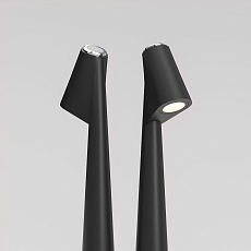 Настольная лампа Elektrostandard Elite TL70250 a068070 2