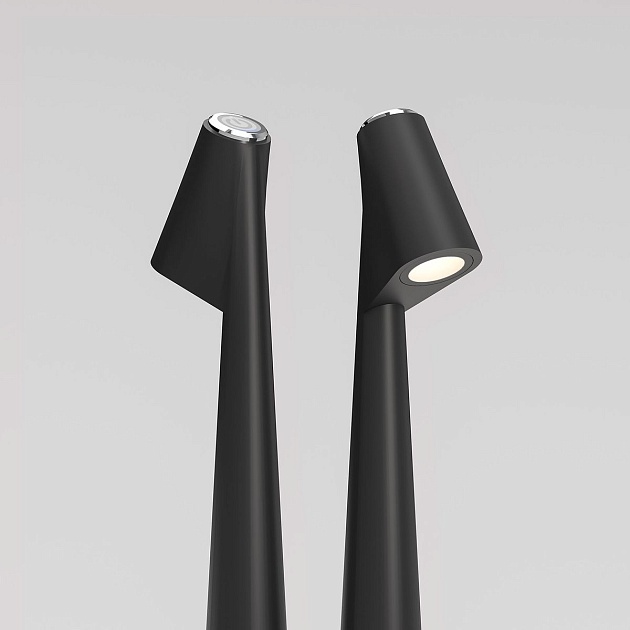 Настольная лампа Elektrostandard Elite TL70250 a068070 Фото № 3