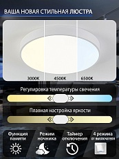 Потолочный светодиодный светильник Natali Kovaltseva LED LAMPS 81111/5C 1