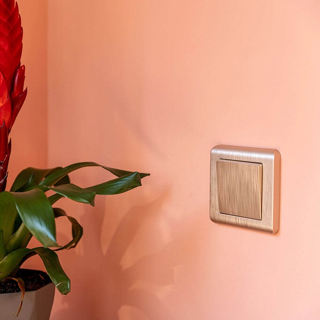 Выключатель одноклавишный проходной Werkel шампань рифленый W1112010 4690389160066 Фото № 4