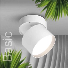 Потолочный светильник WOLTA WSL-GX53/02W