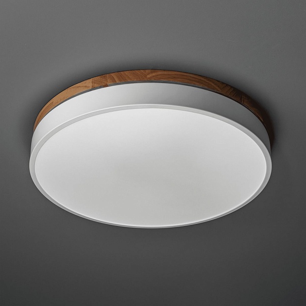 Потолочный светодиодный светильник Ritter Snello 51623 5 Фото № 6