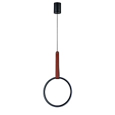 Подвесной светодиодный светильник Escada Alliance 10295/1LED Black