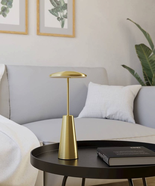 Уличный светодиодный светильник Eglo Piccola 900923 Фото № 3