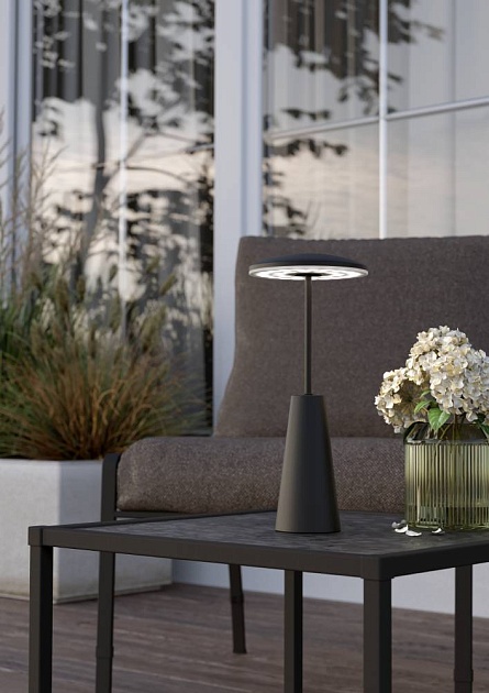 Уличный светодиодный светильник Eglo Piccola 900925 Фото № 2